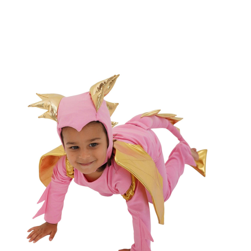 Pink Sky Dragon