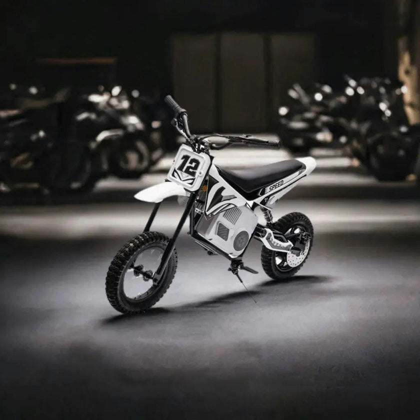 36V Freddo Electric Dirt Bike for Teens