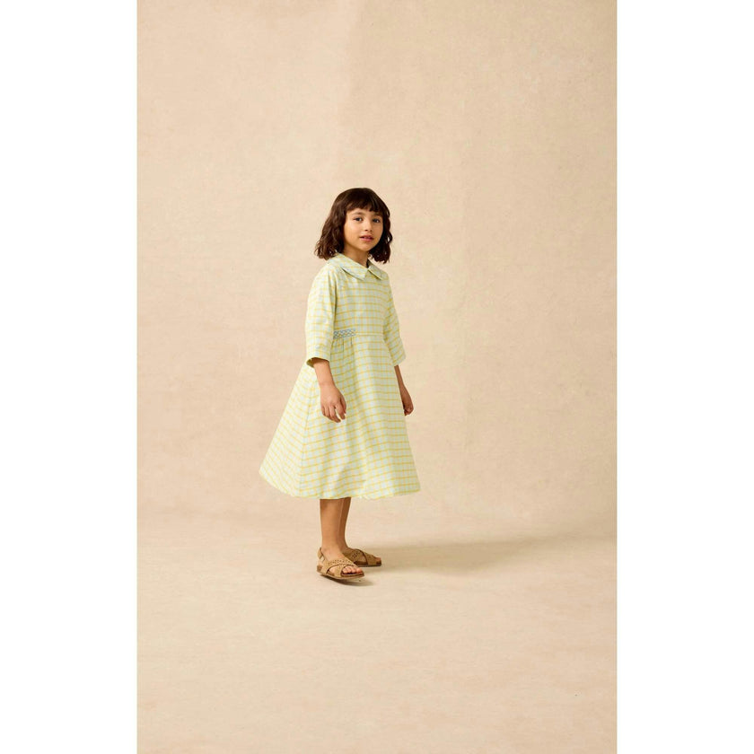 Embroidered Dress in Push Pop Plaid