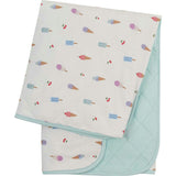 Baby Blanket