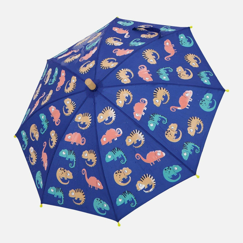 Color-Changing Umbrella