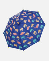 Color-Changing Umbrella