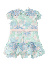 Addison Embroidered Mini Dress (Baby)