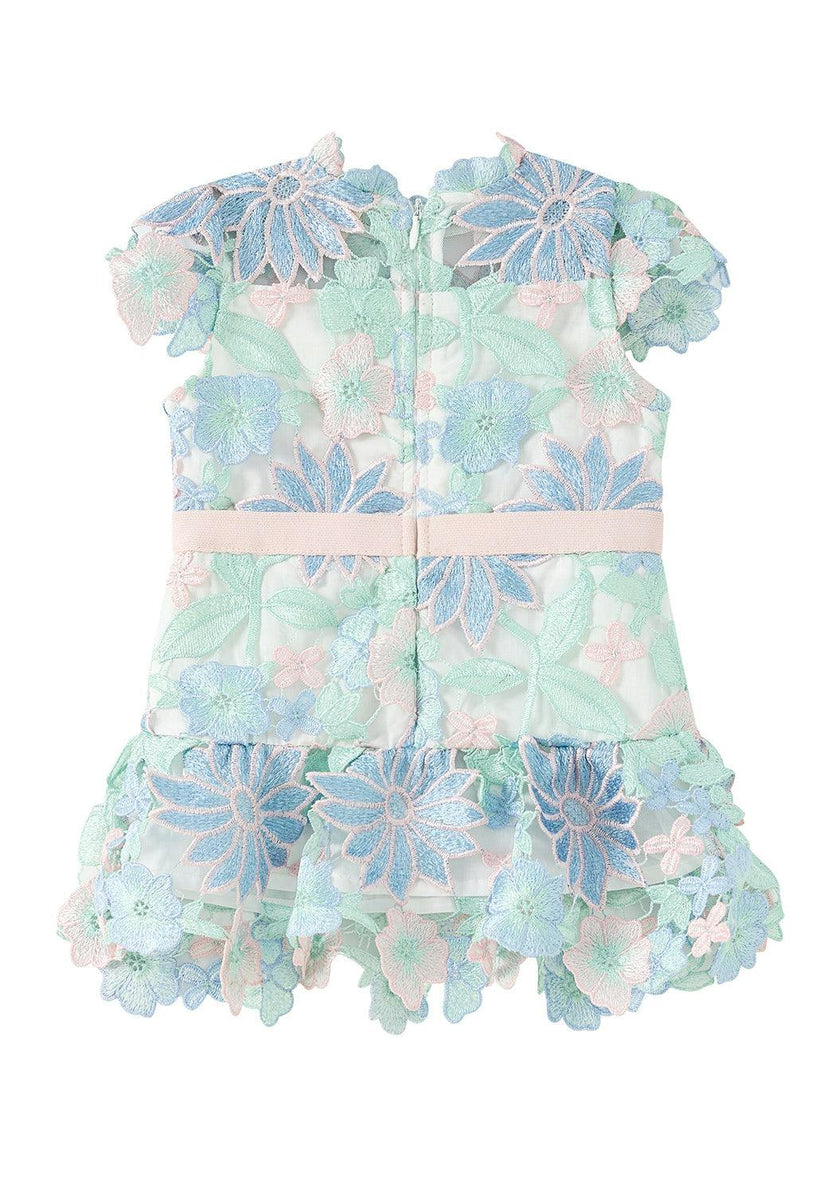 Addison Embroidered Mini Dress (Baby)