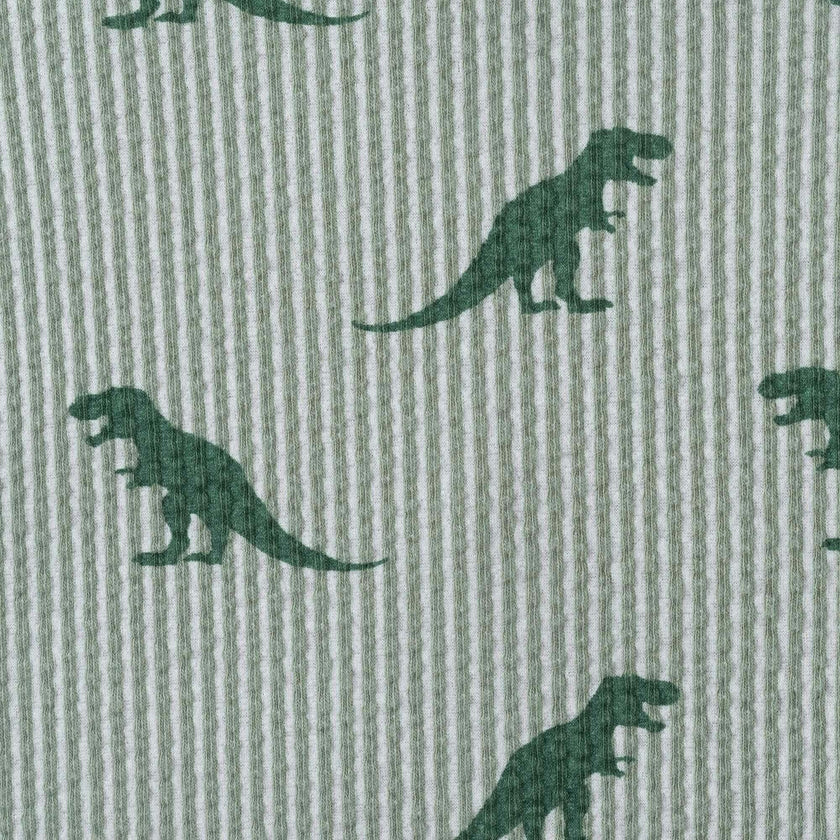 Boys Short Sleeve Cabana Set | Green Stripe Dino