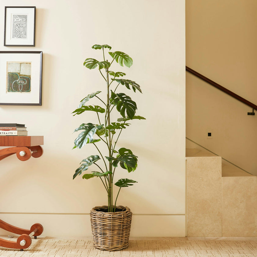 5' Artificial Monstera Tree