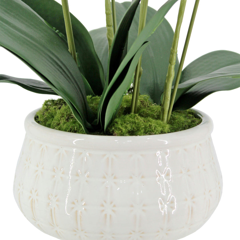Artificial 4-Stem Phalaenopsis White Orchid