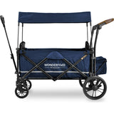 Pull & Push Double Stroller Wagon 2 Seater