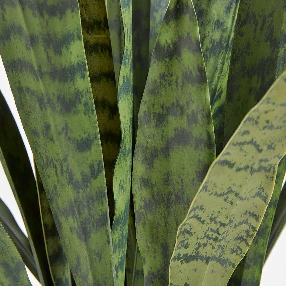 Artificial Snake Plant with Artisan Planter