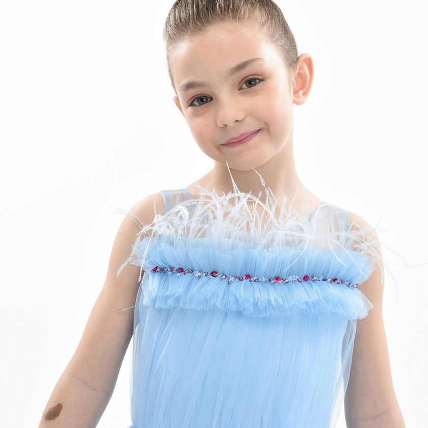 Blue Granada Ruffle Tulle Dress