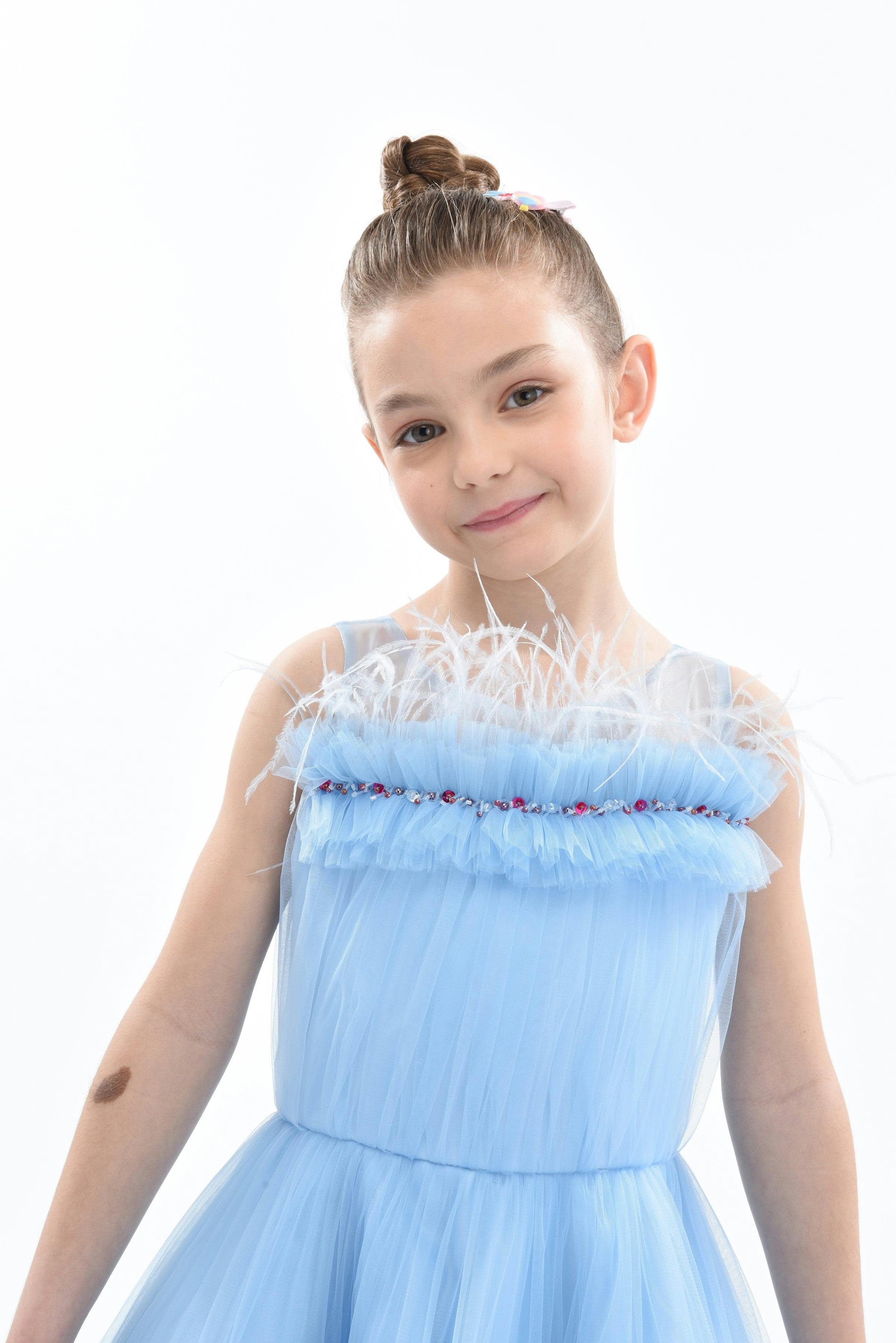 Blue Granada Ruffle Tulle Dress