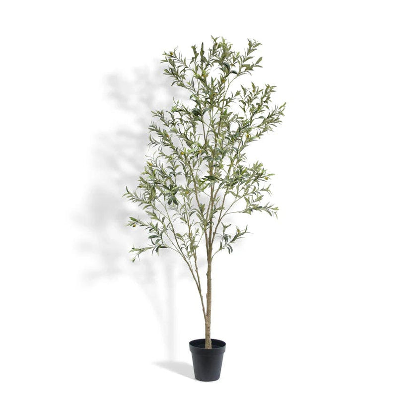 7' Artificial Wispy Olive Tree