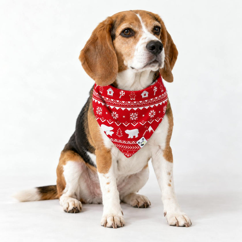 Polar Isle Red Bamboo Matching Pet Bandana