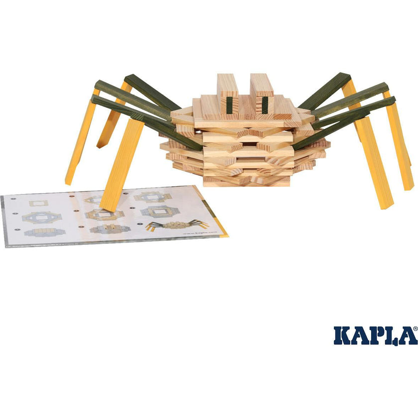 KAPLA Spider Case