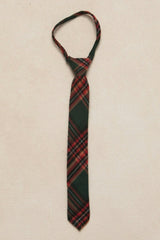 Ties in Evergreen Plaid