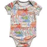 Wren Body Short Sleeves