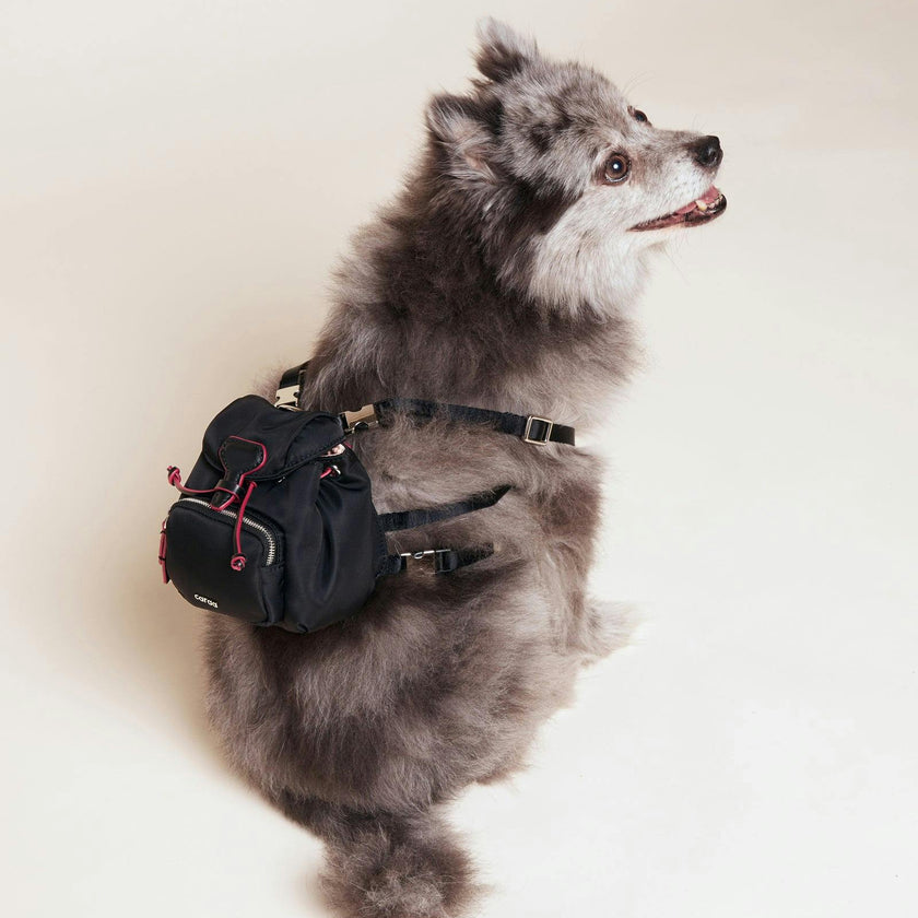 Dog Backpack
