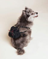 Dog Backpack