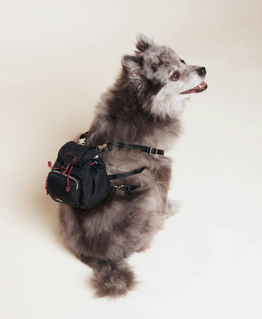 Dog Backpack