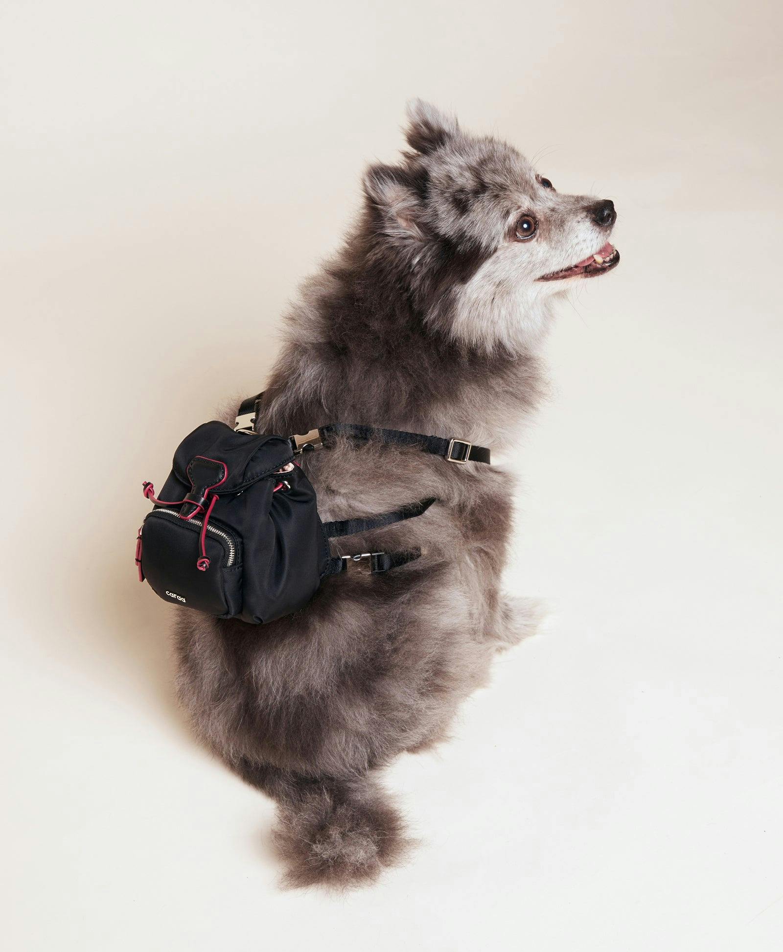 Dog Backpack