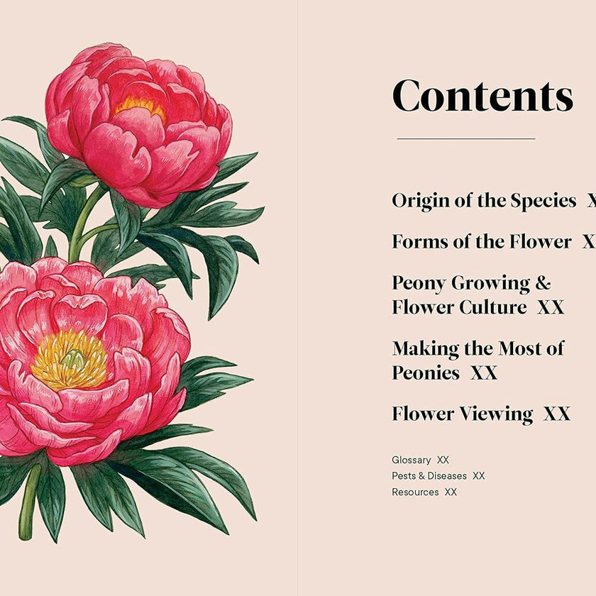 Little Book of Peonies