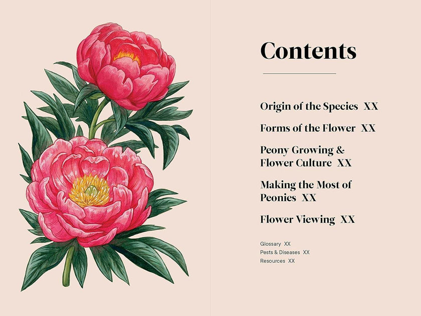Little Book of Peonies