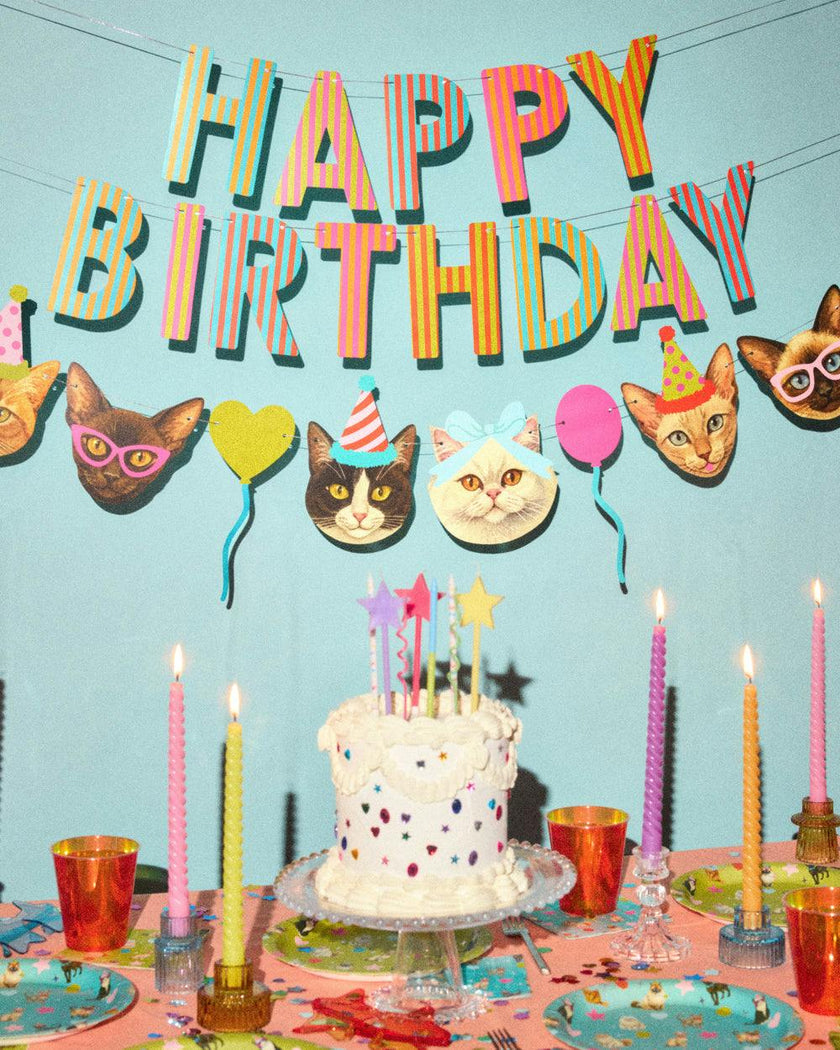 Crazy Cat Banner - really fun party banner