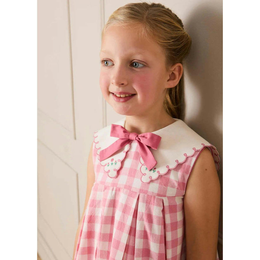 Catherine Gingham Embroidered Sleeveless Trapeze Dress in Pink (12mths- 10yrs)