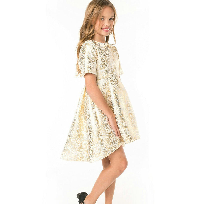 AISA (gold baroque print)