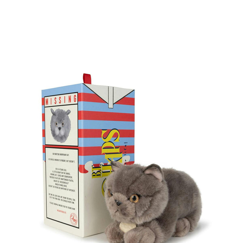 BT CHAPS GUS THE HOMIE in Giftbox 10"