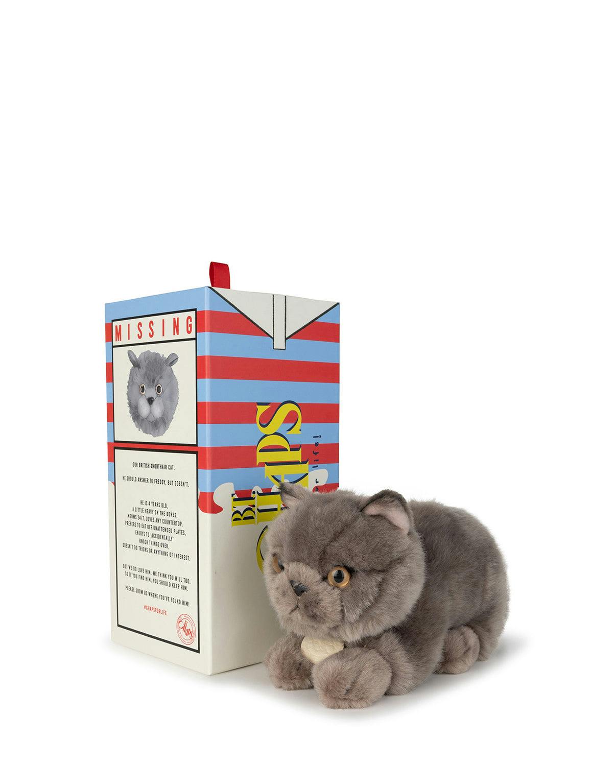 BT CHAPS GUS THE HOMIE in Giftbox 10