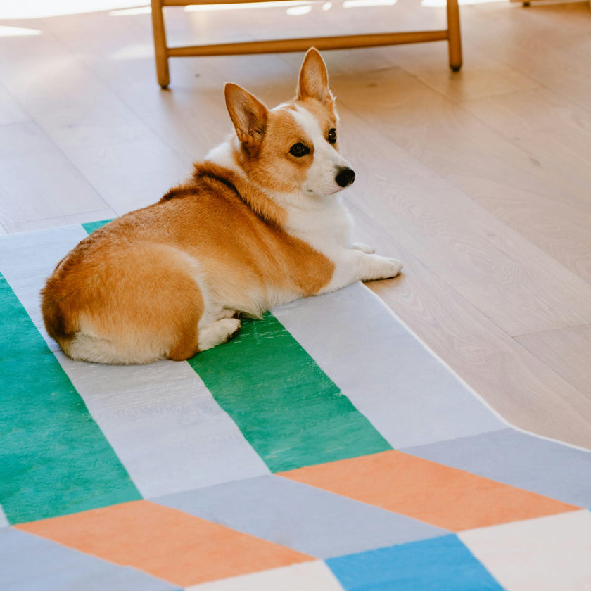 Illusion Stripe Modern Rug