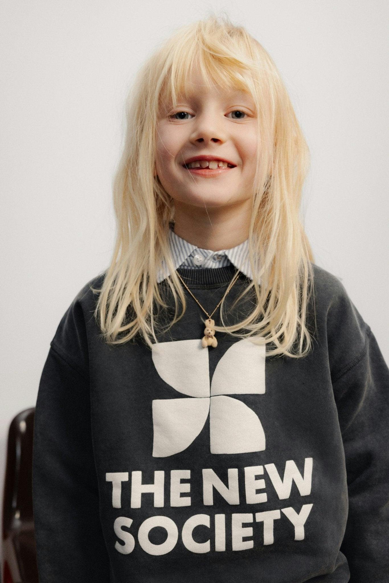 TNS Logo Sweatshirt Forged Iron