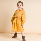 Ruffle Collar Long Sleeve Dress