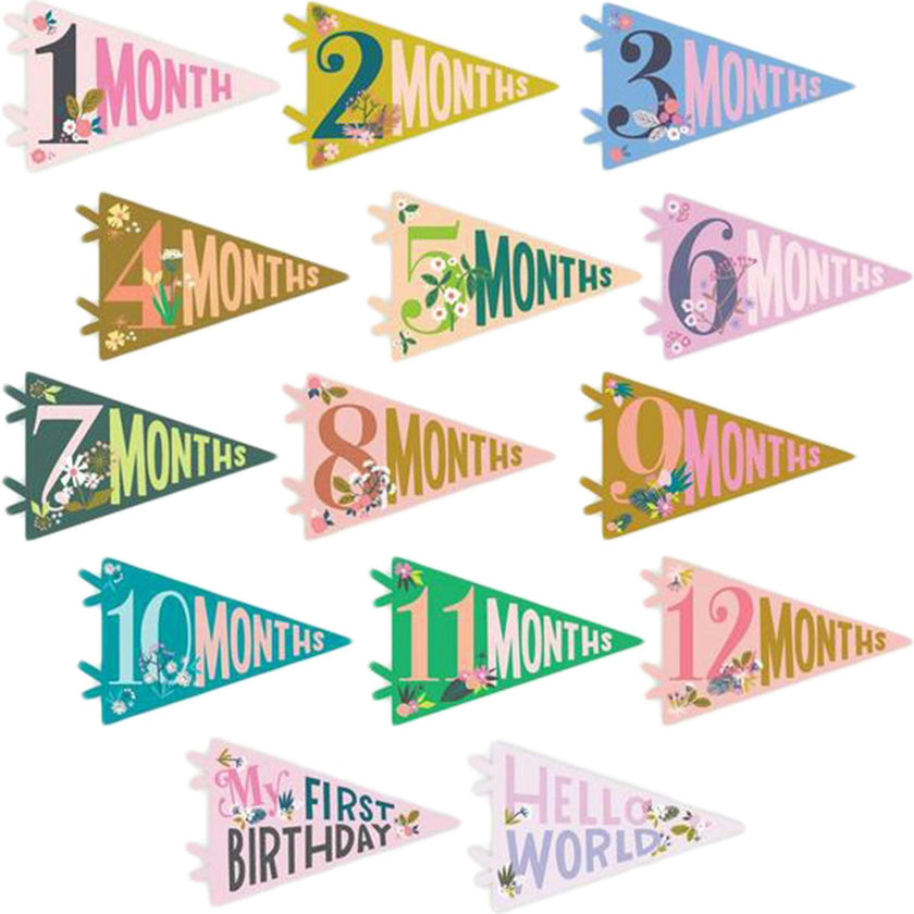 Little Artist Petit Milestone Pennants