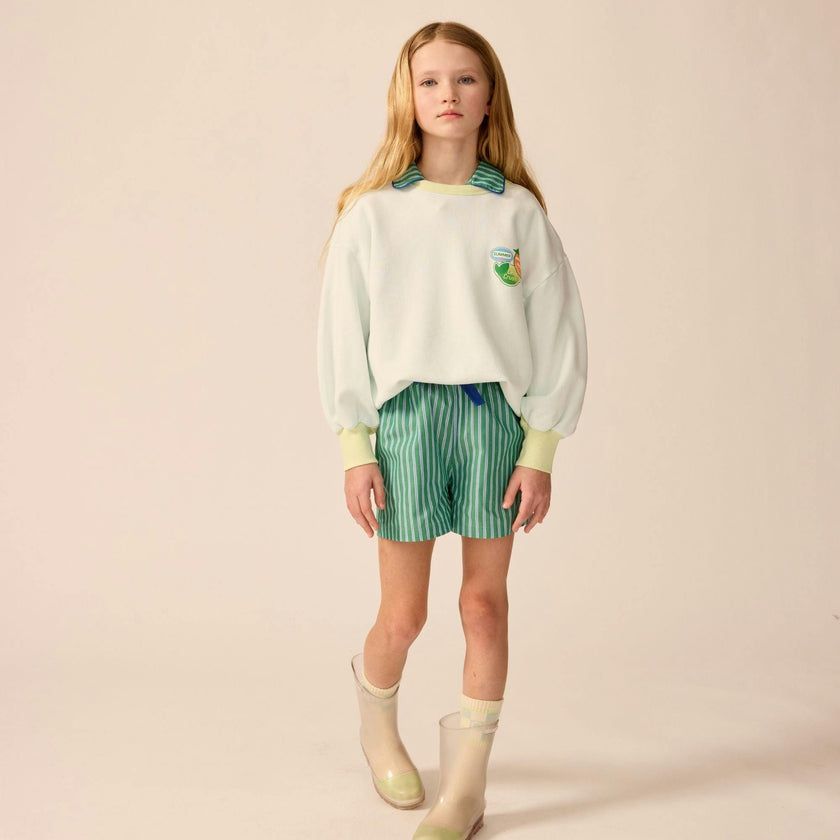 Avenue Shorts in Cucumber Stripe