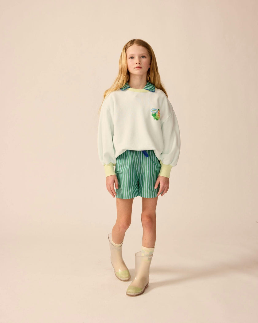 Avenue Shorts in Cucumber Stripe