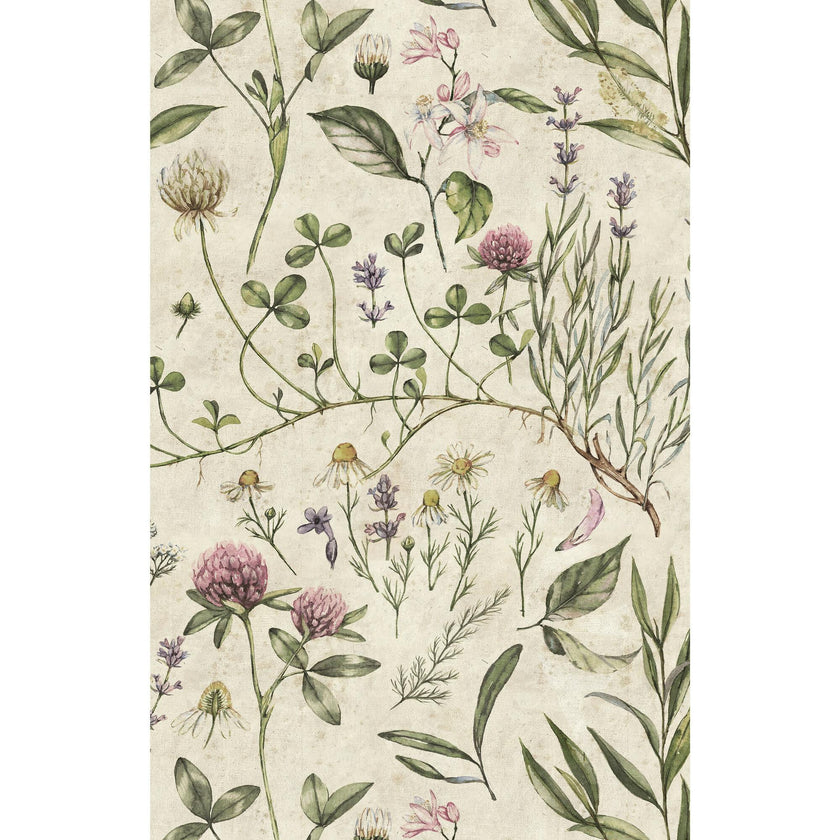 Vintage Illustration Wallpaper