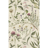 Vintage Illustration Wallpaper