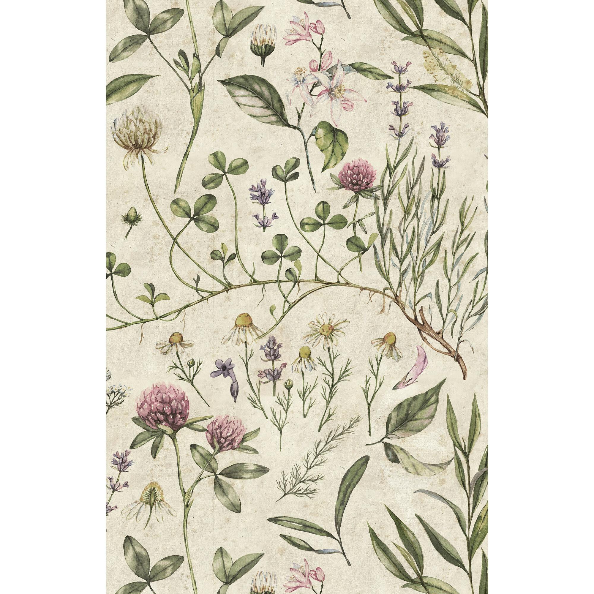 Vintage Illustration Wallpaper