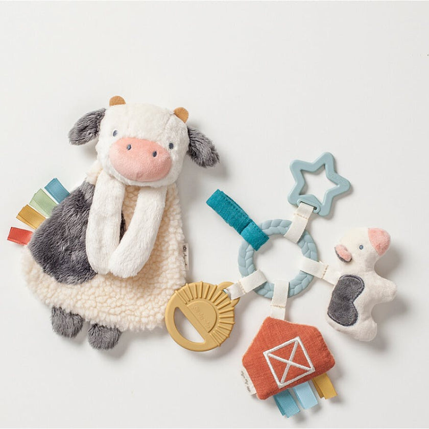 Bitzy Busy Gift Set