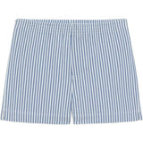 Classic Blue Stripe Mini Swim Trunk
