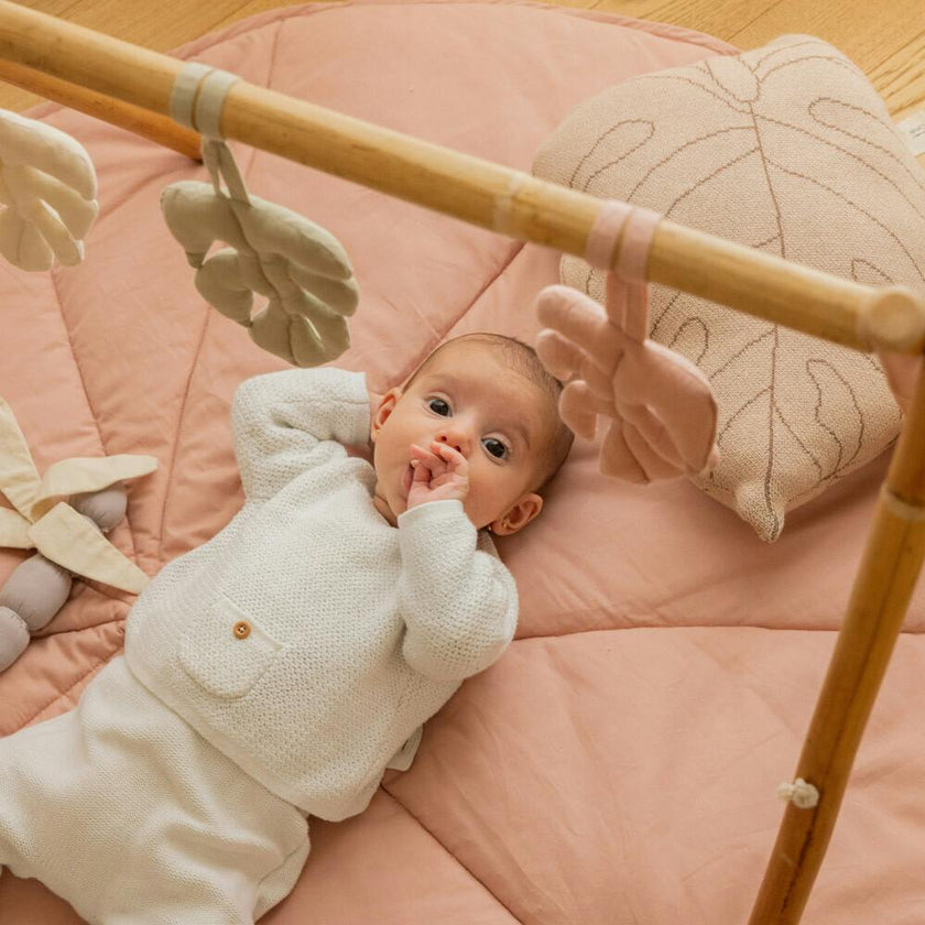 Rattle Toy Hangers
