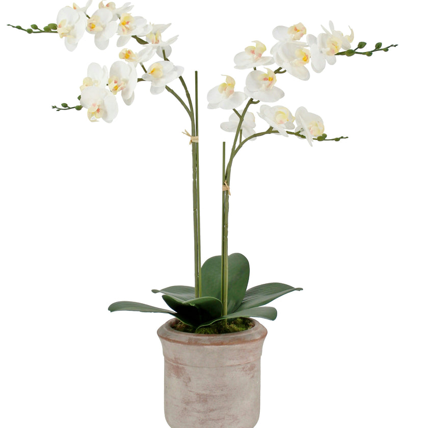 Artificial 2-Stem Phalaenopsis White Orchid