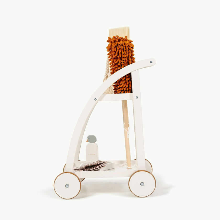 Cleaning Cart