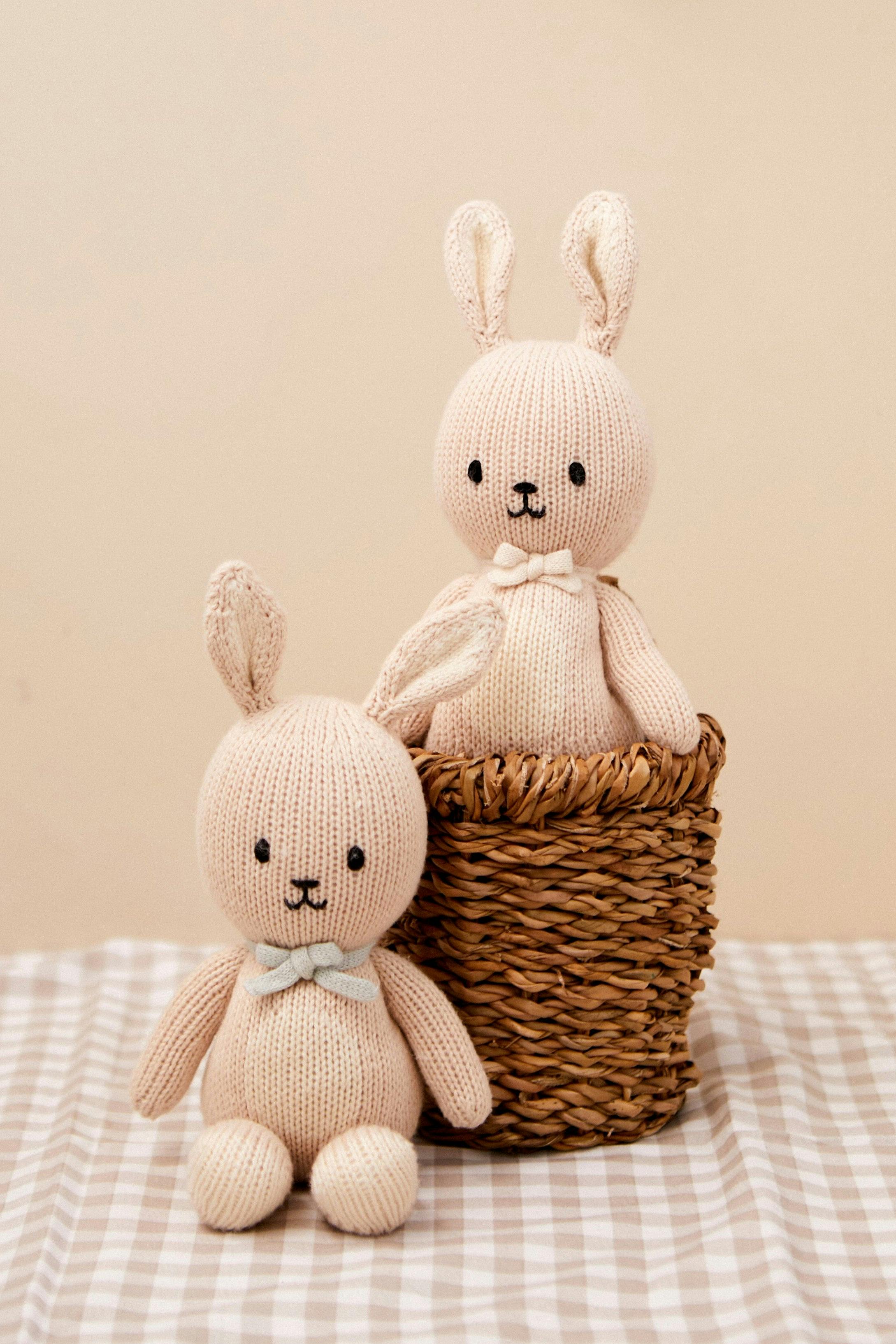 BABY BUNNY BOY 8