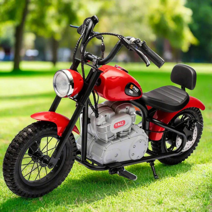 36V Freddo E-Chopper, Leather Seat, Rubber Air Wheels, Brushless Motor