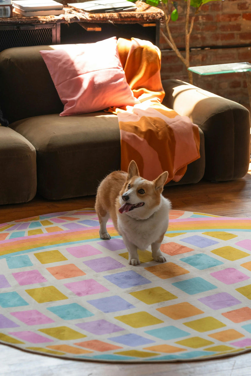 Disco Planet Checkered Rug by Darra Sargent