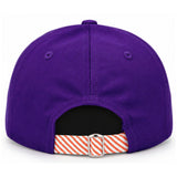 Clemson Tigers Baseball Hat