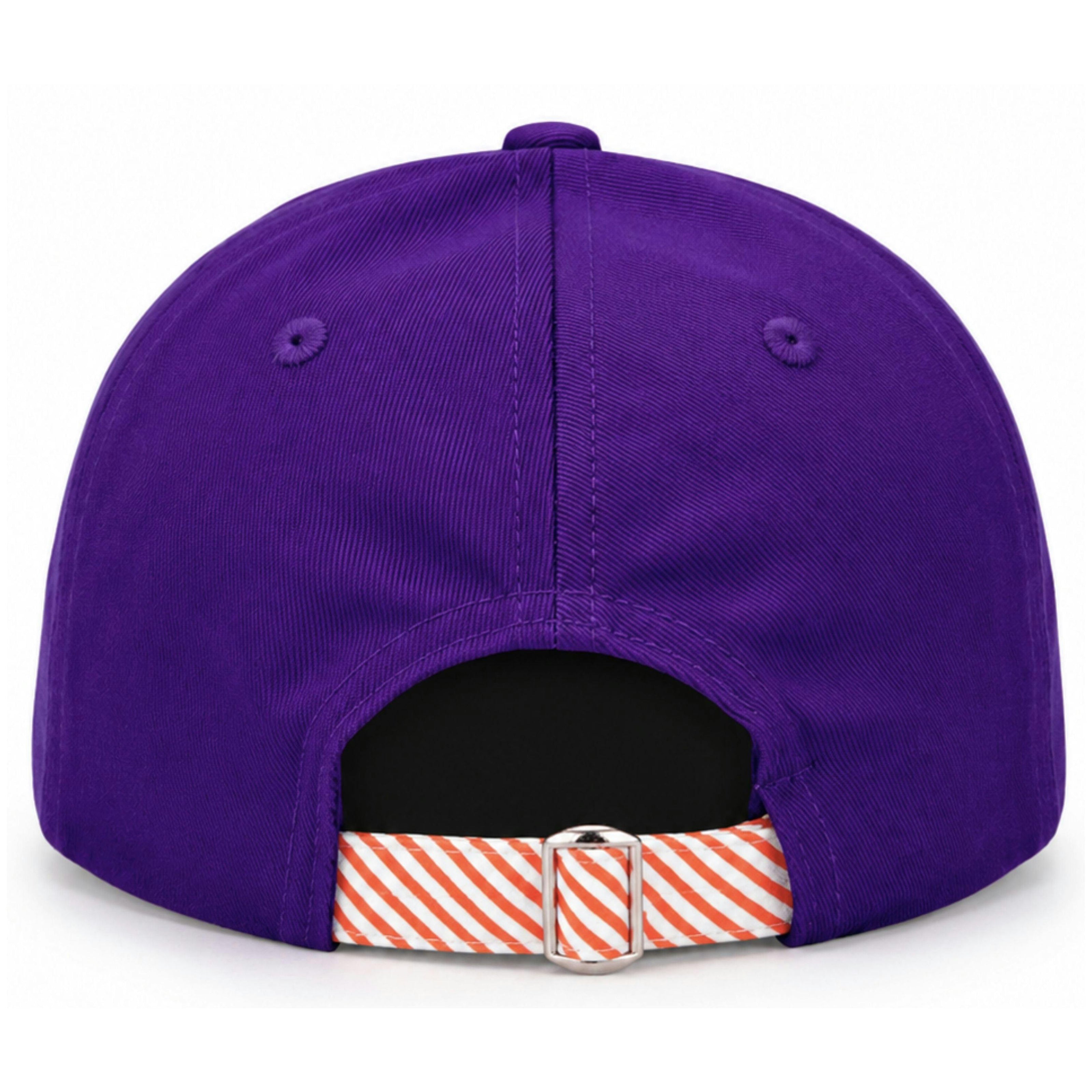 Clemson Tigers Baseball Hat